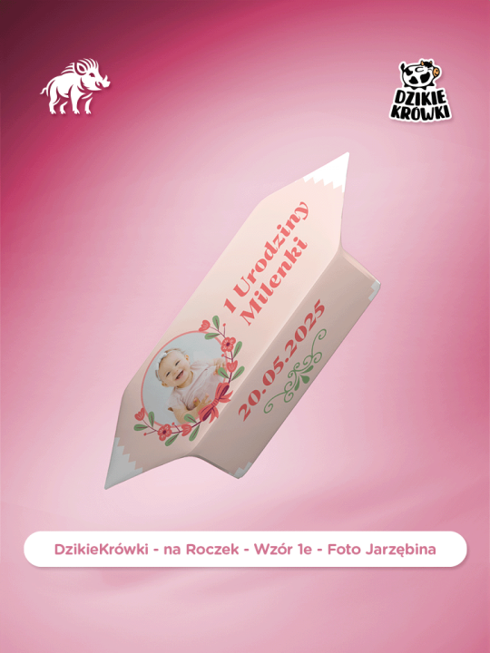 DzikieKrówki - na Roczek - 1e - Foto Jarzębina - Wizualizacja.png