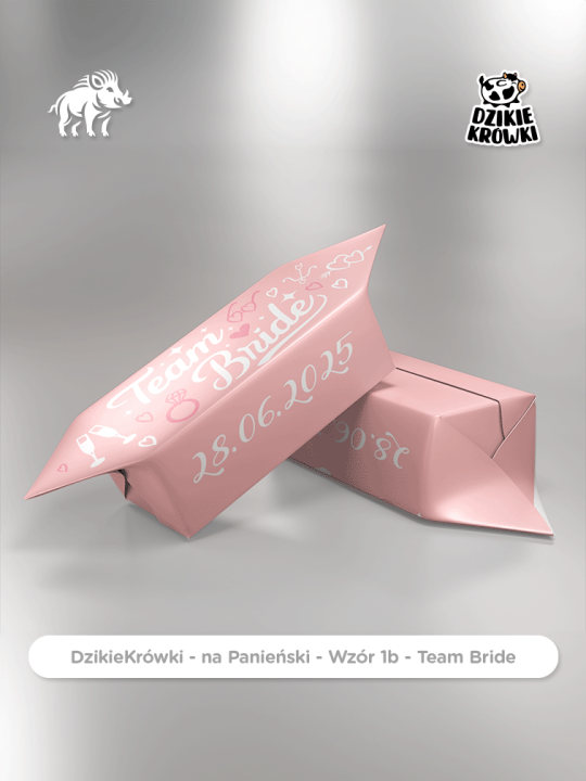 DzikieKrówki - na Panieński - 1b - Team Bride - Wizualizacja.png