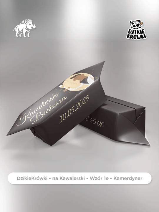 DzikieKrówki - na Panieński - 1e - Kamerdyner - Wizualizacja.png