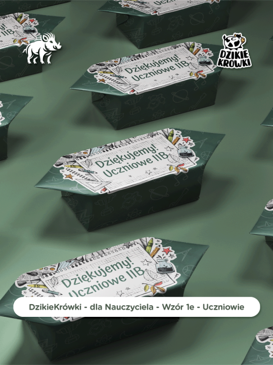 DzikieKrówki - na Dzień Nauczyciela - Wzór 1e - Uczniowie - Wizualizacja.png