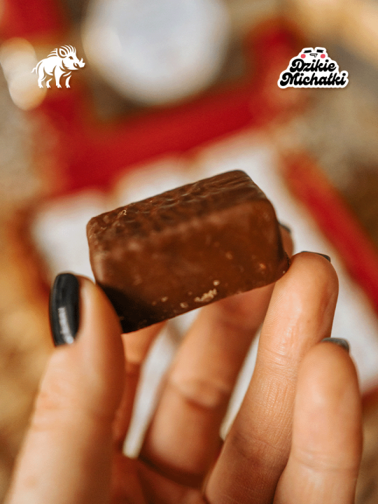 DzikieMichałki - Mam własny projekt - 7.png