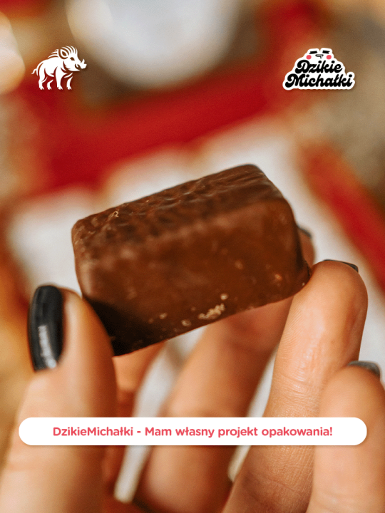 DzikieMichałki - Mam własny projekt - 13.png