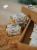 DzikieMichałki - Mam własny projekt - 8.png