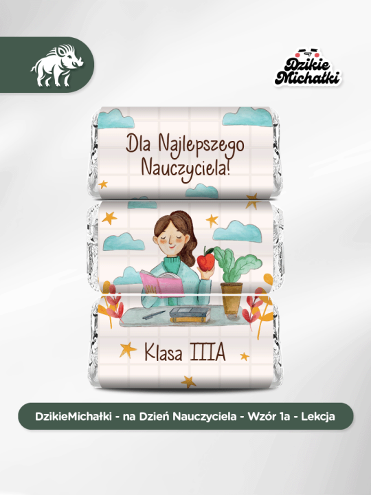 DzikieMichałki - na Dzień Nauczyciela - 1a - Lekcja - Wizualizacja.png