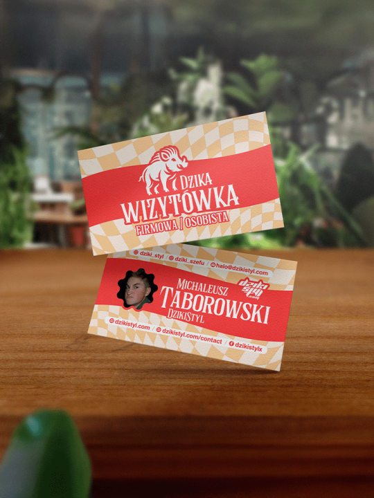 Projekt Graficzny - Wizytówka - Firmowa Osobista - 1.png