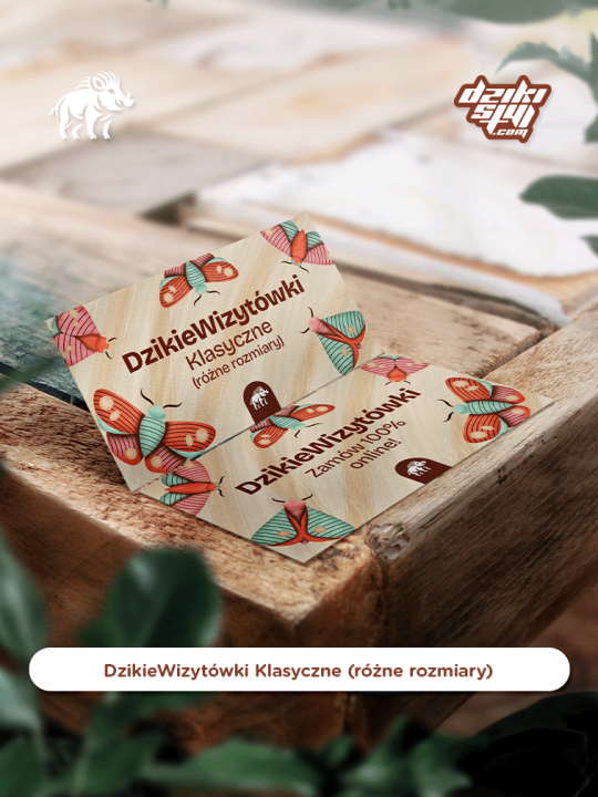 Wizytówki klasyczne - Zdjęcie produktu1.png