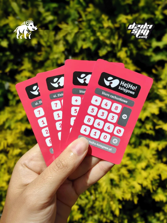 Wizytówki Plastikowe 2 - Zdjęcie produktu.png