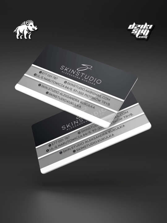 Wizytówki półprzezroczyste PVC - Zdjęcie produktu2.png