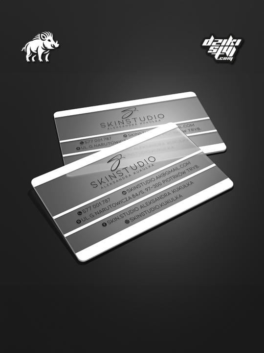 Wizytówki półprzezroczyste PVC - Zdjęcie produktu3.png