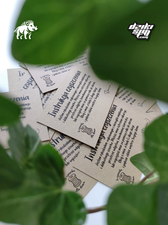 Wizytówki ekologiczne - zdjęcie produtku 2.png