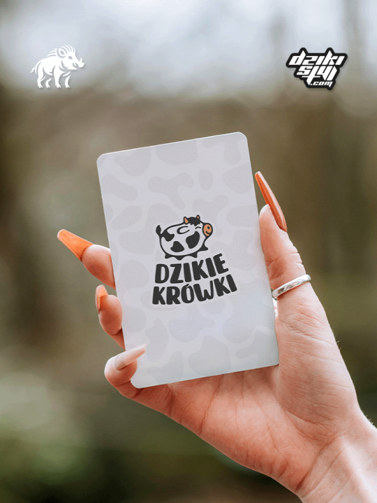 Wizytówki Plastikowe 1 - Zdjęcie produktu.png