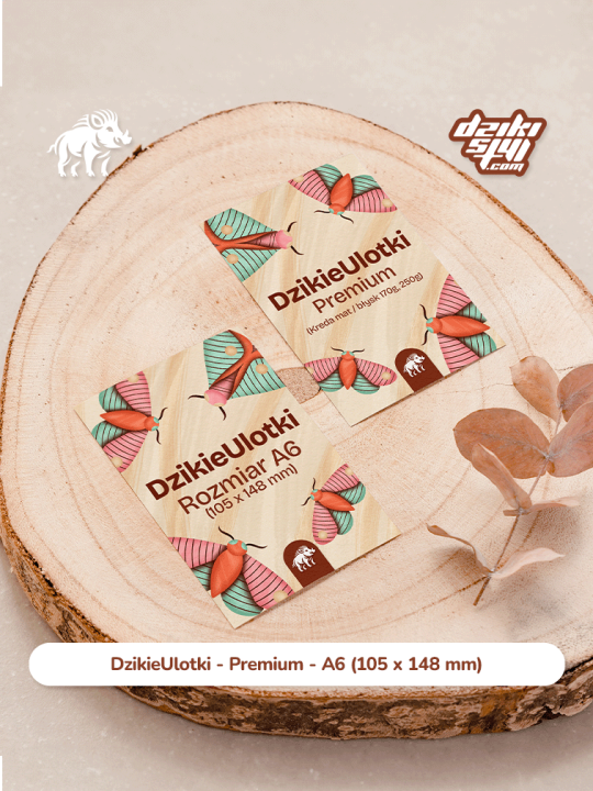 Ulotka - A6 - Premium - Zdjęcie produktu 1.png