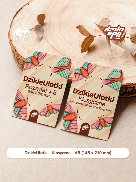 Ulotka - A5 - Klasyczne - Zdjęcie produktu 1.png