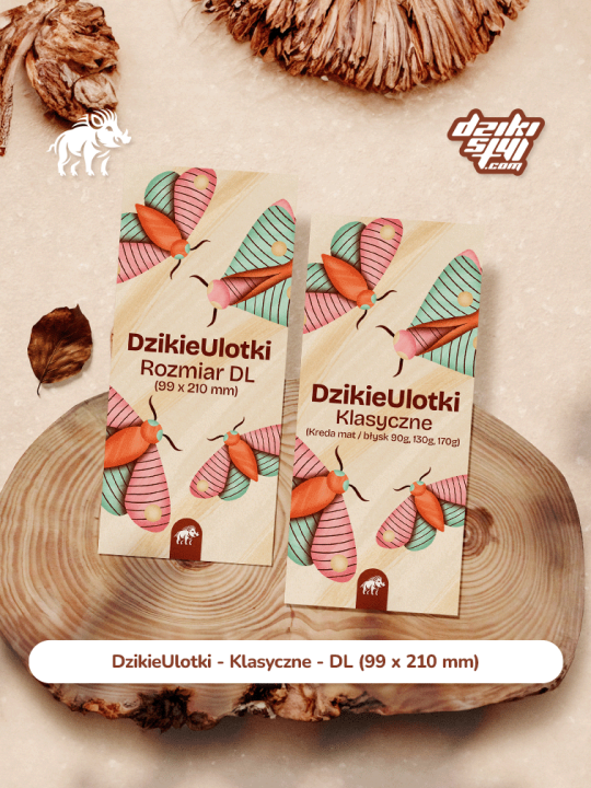 Ulotka - DL - Klasyczne - Zdjęcie produktu 1.png