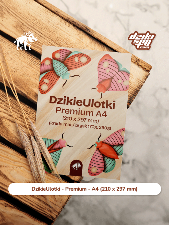 Ulotka - A4 - Premium - Zdjęcie produktu 1.png