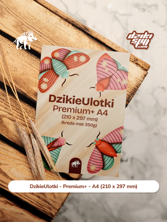 Ulotka - A4 - Premium+ - Zdjęcie produktu 1.png