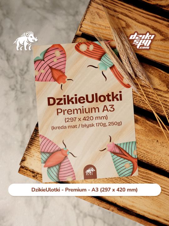 Ulotka - A3 - Premium - Zdjęcie produktu 1 kopia.png