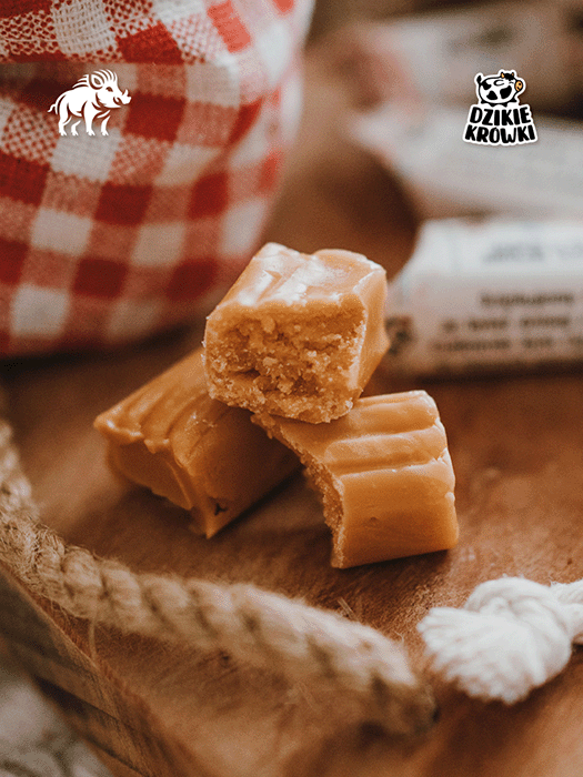 DzikieKrówki - Mam własny projekt - 9.png