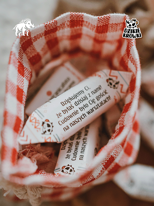 DzikieKrówki - Mam własny projekt - 6.png