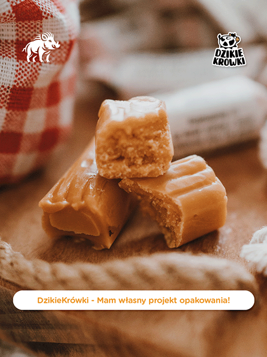 DzikieKrówki - Mam własny projekt - 1.png