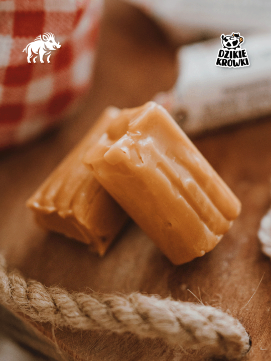 DzikieKrówki - Zamawiam projekt - 2.png