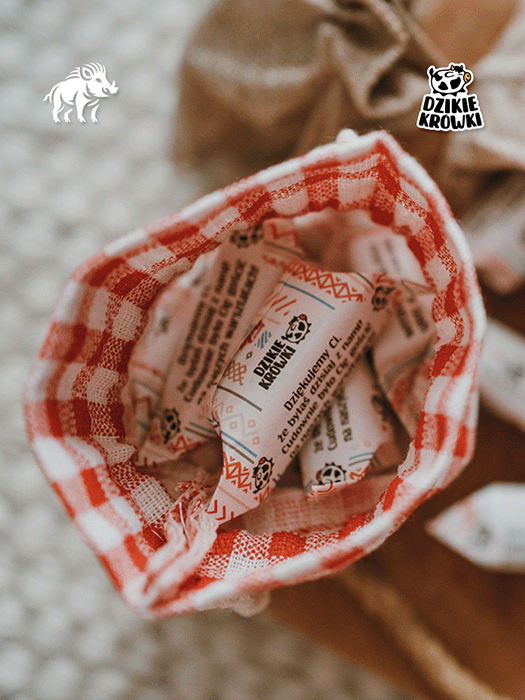 DzikieKrówki - Mam własny projekt - 12.png