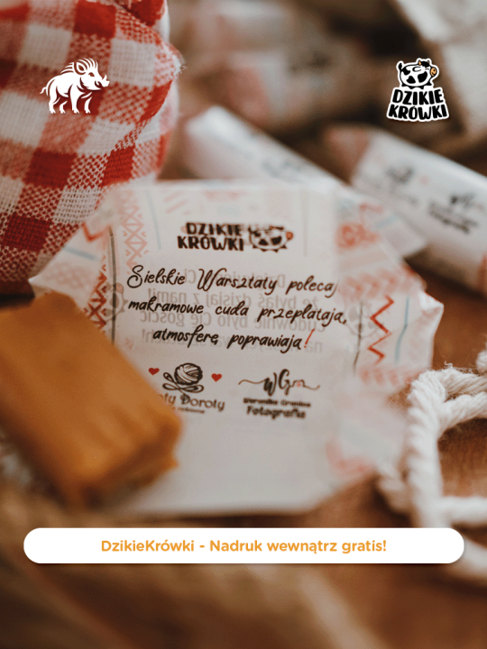 DzikieKrówki - Zamawiam projekt - 4.png