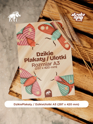 Dzikie Plakaty / Ulotki - Klasyczne - A3 (297 x 420 mm)