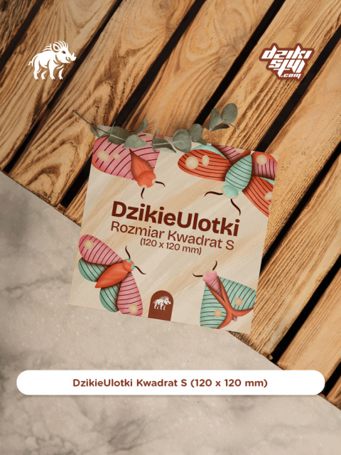 Dzikie Ulotki - Kwadrat S (120 x 120 mm)