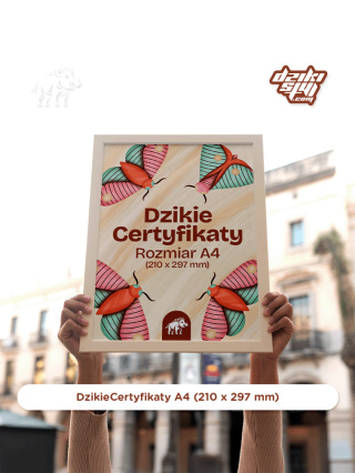 Dzikie Certyfikaty - Klasyczne - A4 (210 x 297 mm)