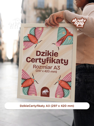 Dzikie Certyfikaty - Klasyczne - A3 (297 x 420 mm)