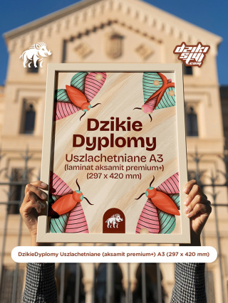 Dzikie Dyplomy - Uszlachetniane (aksamit) A3 (297 x 420 mm)