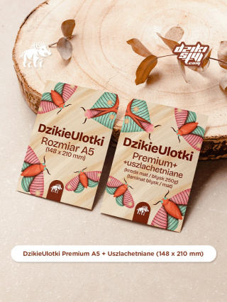 Dzikie Ulotki Premium - A5 + Uszlachetniane (148 x 210 mm)