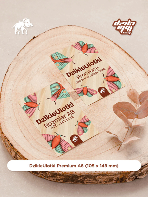 Dzikie Ulotki Premium - A6 (105 x 148 mm)