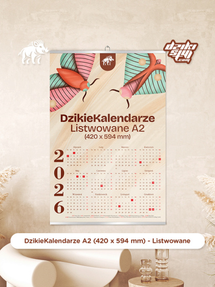 Dzikie Kalendarze - Listwowane - A2 (420 x 594 mm)