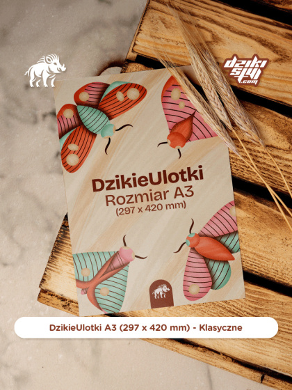 Dzikie Ulotki - Klasyczne - A3 (297 x 420 mm)