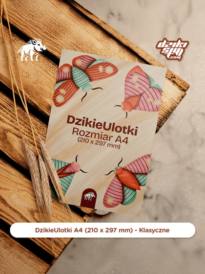 Dzikie Ulotki - Klasyczne - A4 (210 x 297 mm)